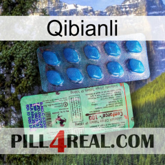 Qibianli new02